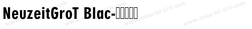 NeuzeitGroT Blac字体转换